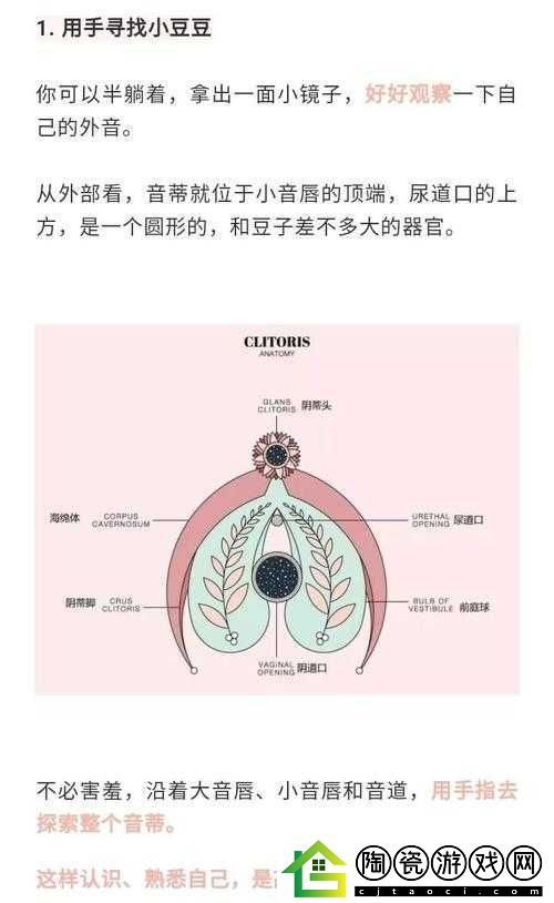 怎么让小豆豆变大的方法