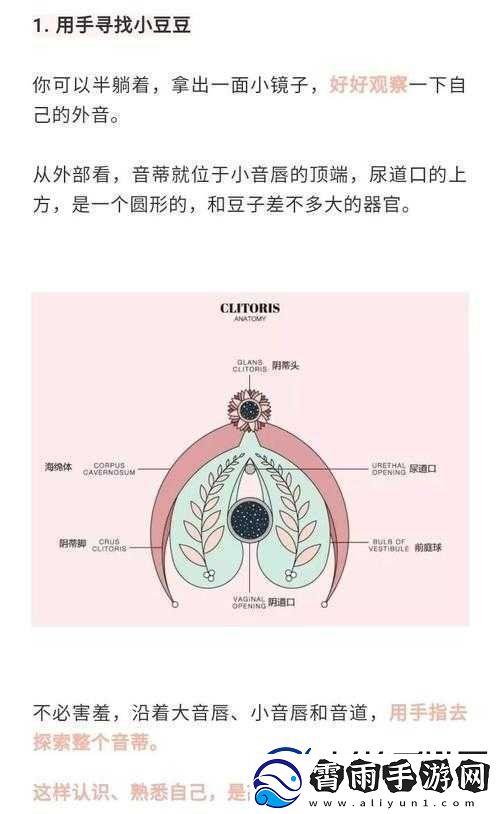 怎么让小豆豆变大的方法