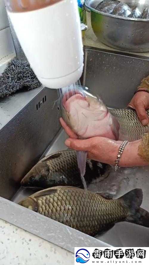 鲤鱼喝水姿势最简单三个步骤之解析