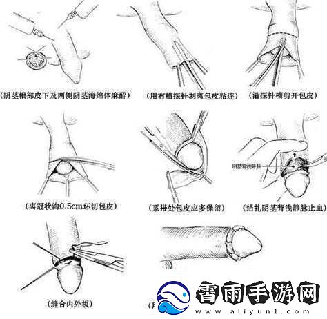 探索**的奥秘