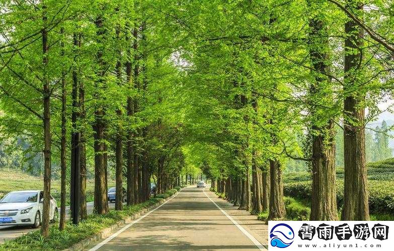 深圳玖玖玖人力资源有限公司咋样
