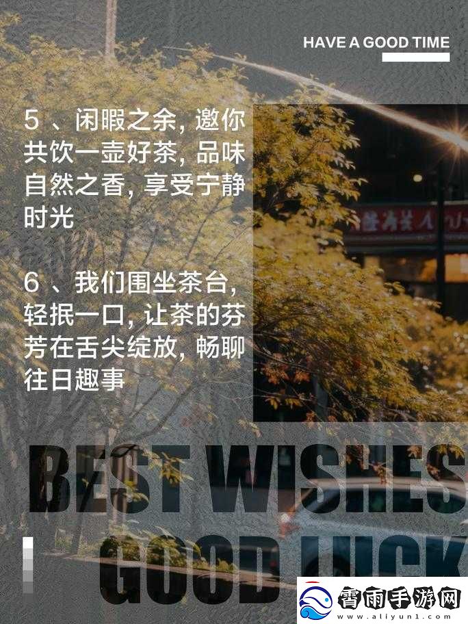 300一晚同城约茶