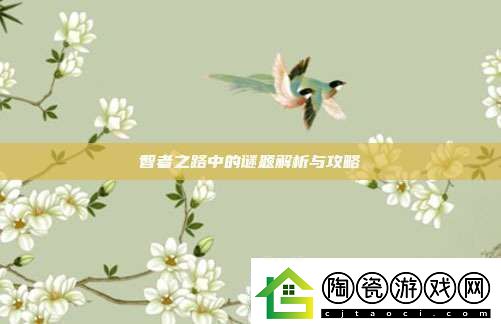 智者之路中的谜题解析与攻略