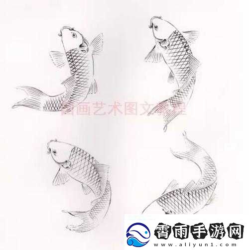 鲤鱼吸水怎么练的图片视频