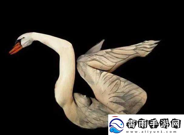 大胆艺术：探索人文之美