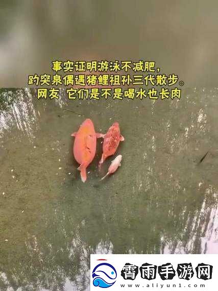 女人鲤鱼喝水图解大全之详细解析
