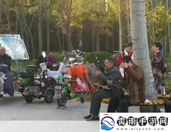 公园小树中老年交易图片1.＂公园小树：探索中老年人的交易与交流
