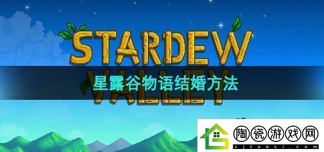 星露谷物语怎么结婚