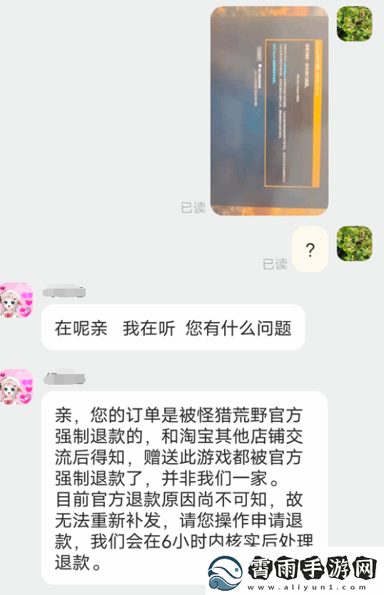 玩家淘宝买怪猎荒野遭退款