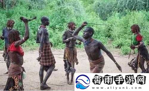 非洲人性功能强大体现之探讨