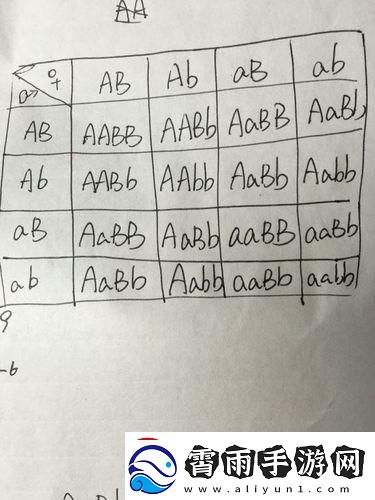 AABB与AAAA的差异