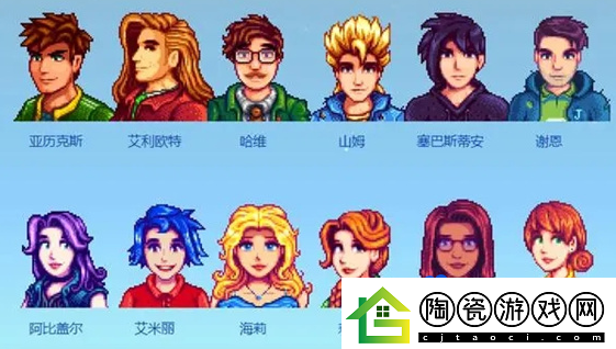 星露谷物语怎么结婚