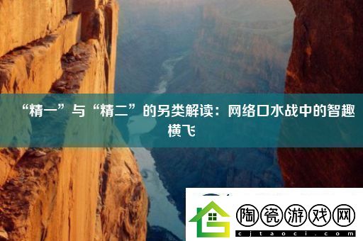 “精一”与“精二”的另类解读：络口水战中的智趣横飞