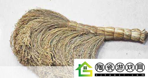 探索古代清洁之谜-扫帚的起源与发展
