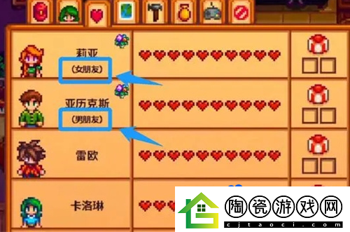 星露谷物语怎么结婚