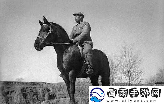 东北那旮瘩那点事