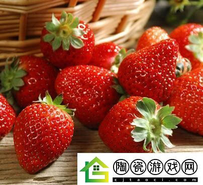 免费畅享草莓视频：无限精彩内容尽在草莓视频在线免费