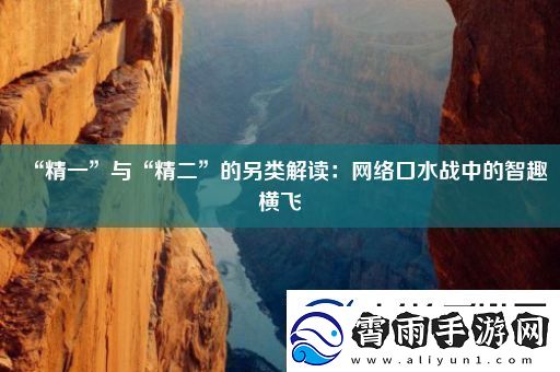 “精一”与“精二”的另类解读：网络口水战中的智趣横飞