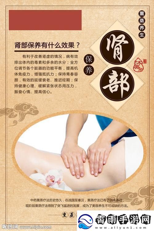 肾部保养竟成科技界“航天飞机”