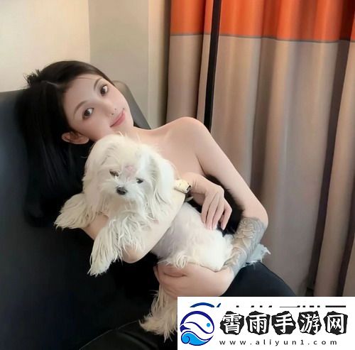 成品站入口隐藏通道小众资源等你发掘