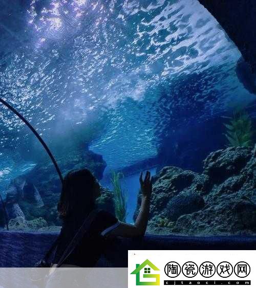 探索神奇海洋奥秘