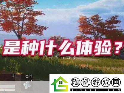 绝地求生国服震撼登陆WeGame
