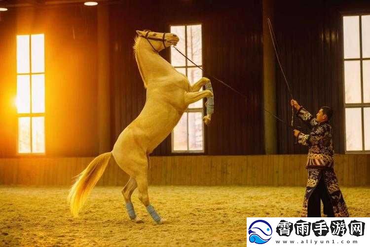人马畜禽company-免费澎湃号：关于它的介绍