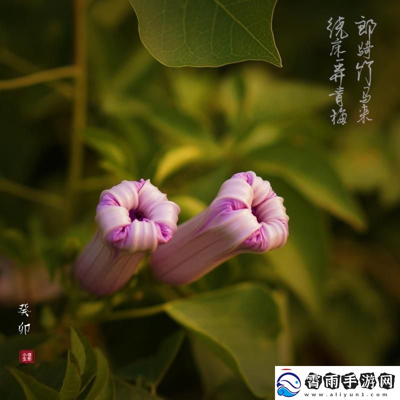 绕床弄青梅-引人入胜-科技圈里的笑话！
