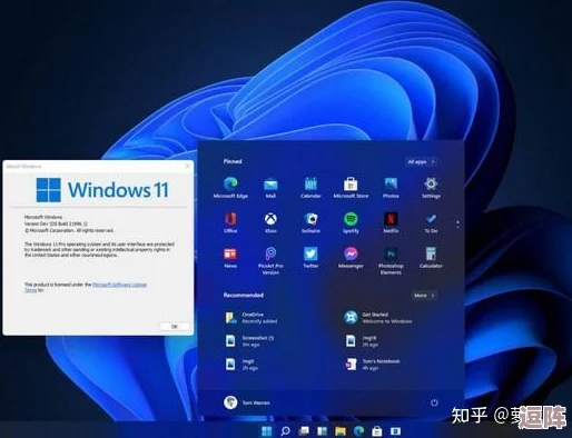 高清windows免费版播放