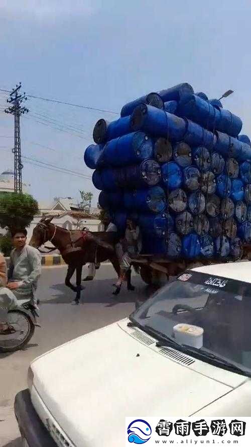 小马拉大车