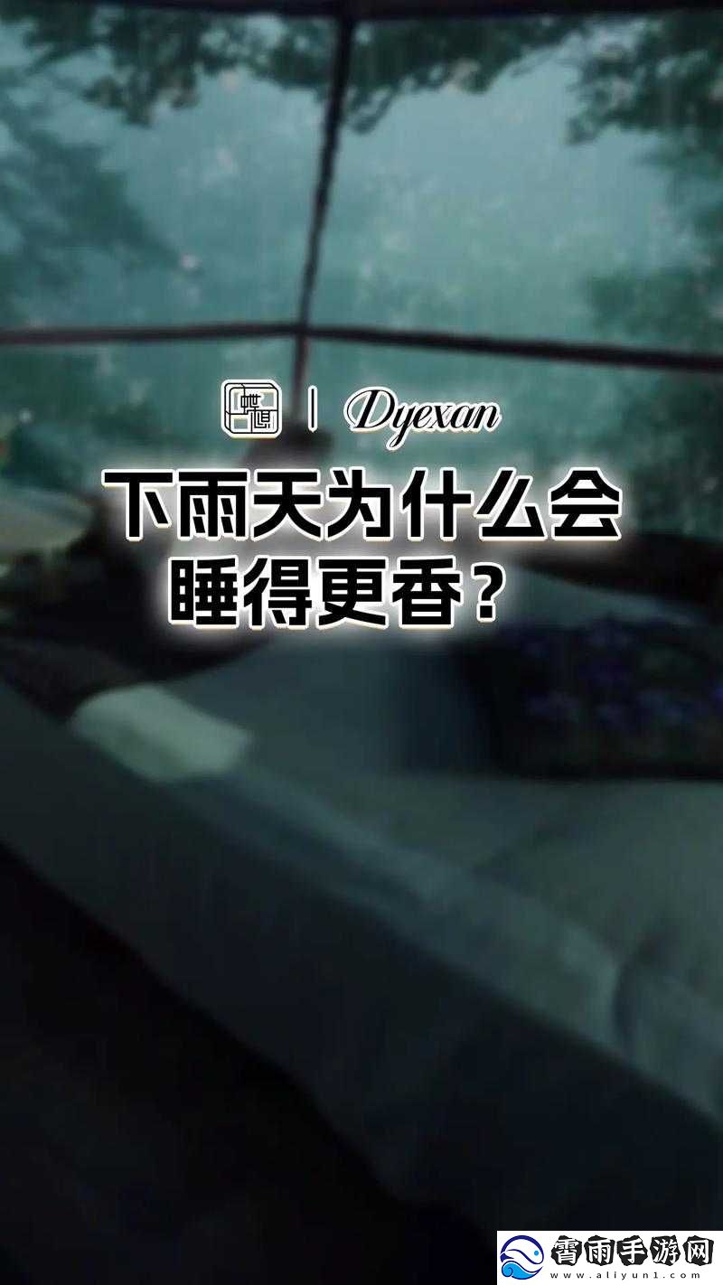 雨日静谧-深度睡眠质量佳之因探秘