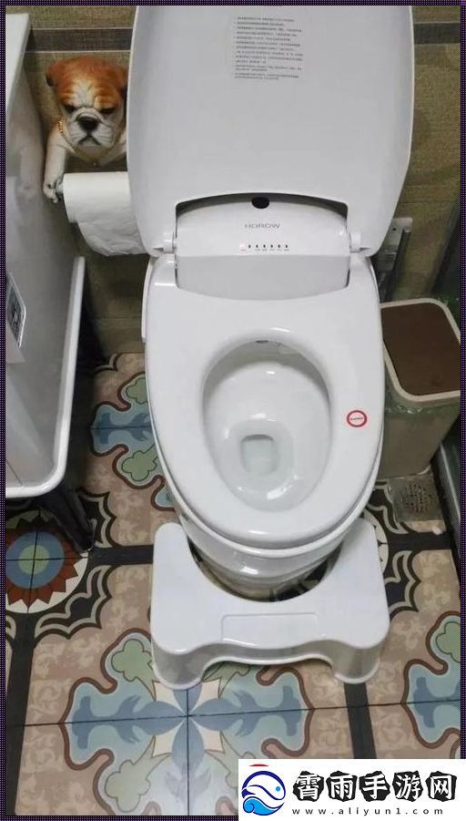 静默空间里的自嘲狂欢：卫生间里的另类独白