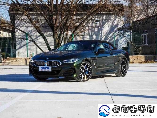 免费行情站：优质资源免费获取-不容错过