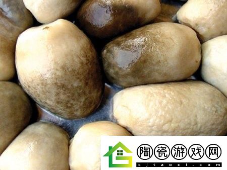 科技狂潮下的细杆椭圆头奇迹：独领风骚的菌界翘楚！