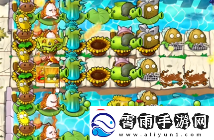 pvz杂交版英雄模式埃德加二世过关攻略