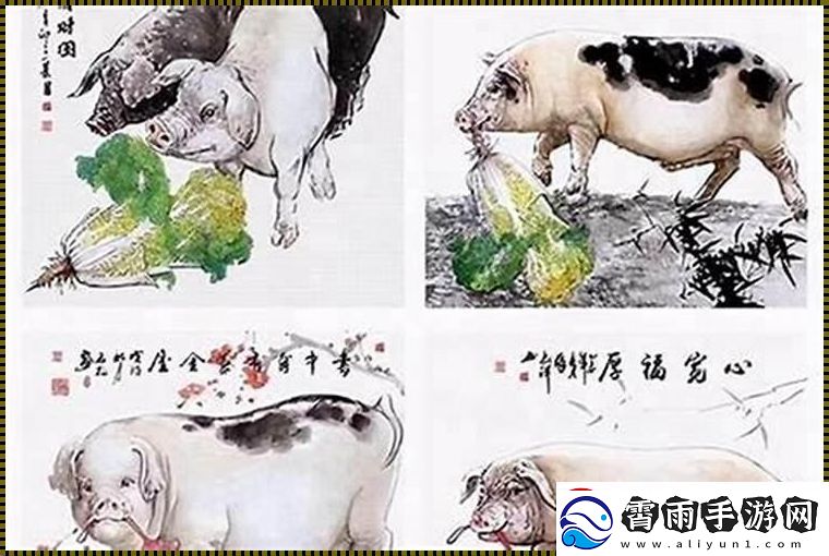 猪配女生闯关秘籍
