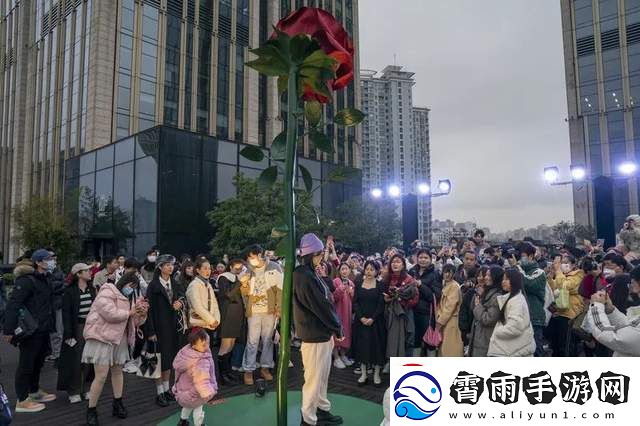观看波兰八个小时的比赛视频剪辑