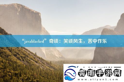 “javablacked”奇谈