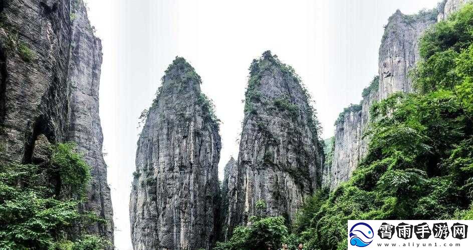 又白又大的两座峰