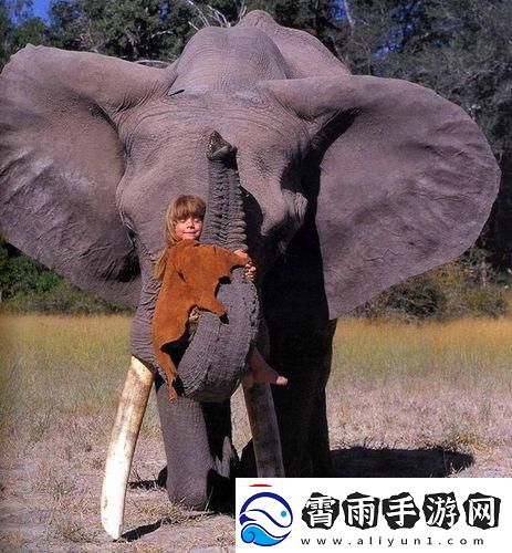 非洲黑珍珠与野生小伙伴-携手闯科技新天地