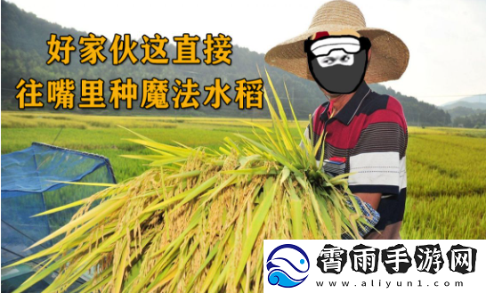 往嘴里种水稻是什么梗络用语-往嘴里种水稻梗意思及出处分享