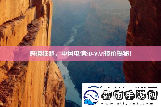 跨境狂飙-中国电信SD-WAN报价揭秘！