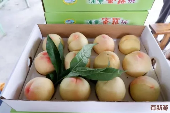 一区二区三区水蜜桃＂热销市场