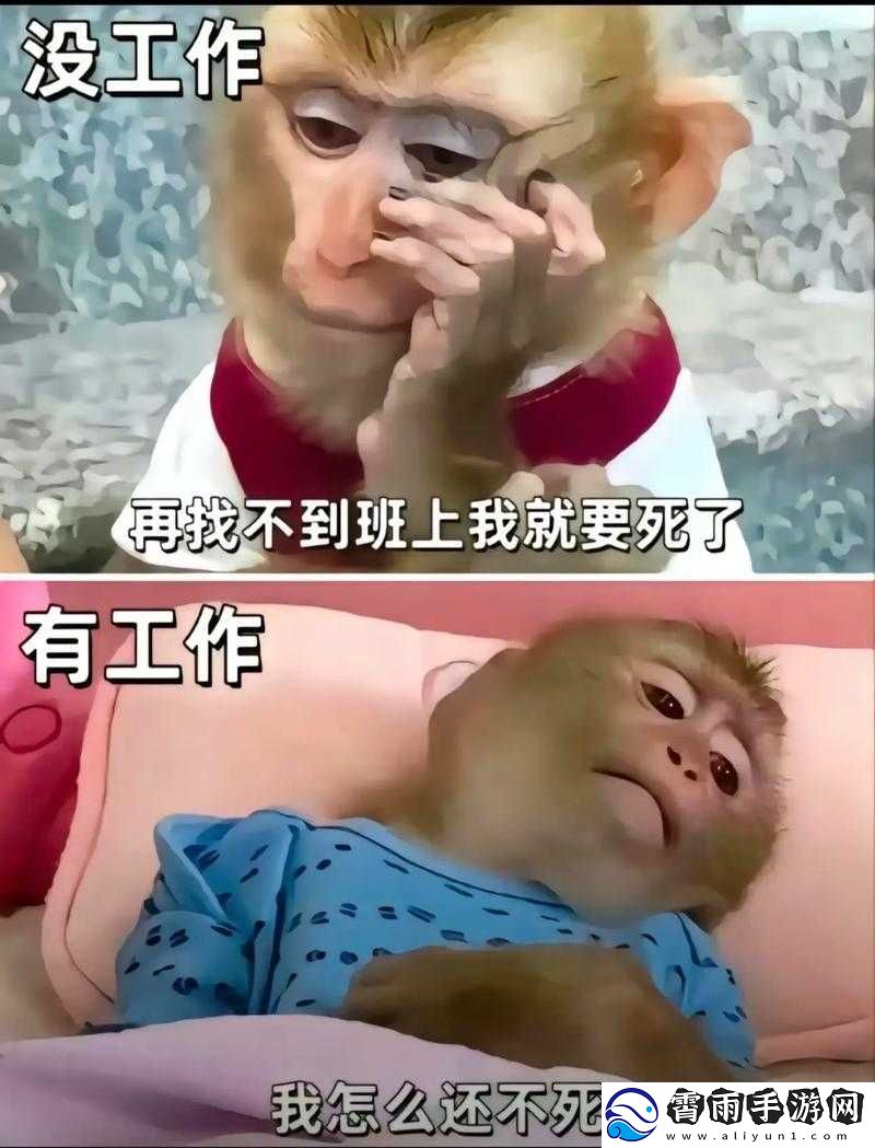 就要鲁就要干