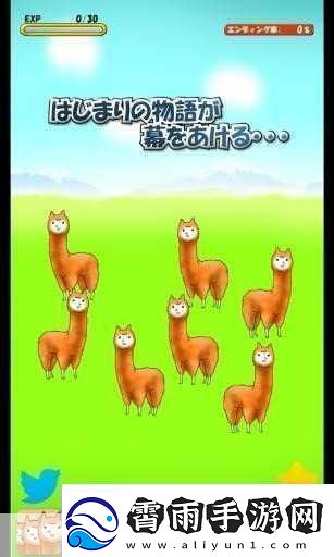 深度解析***兄贵2通关秘籍与攻略全指南