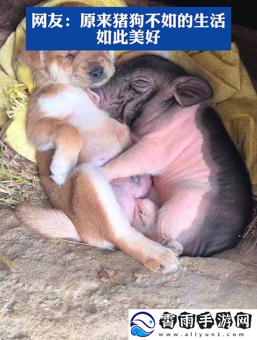 人