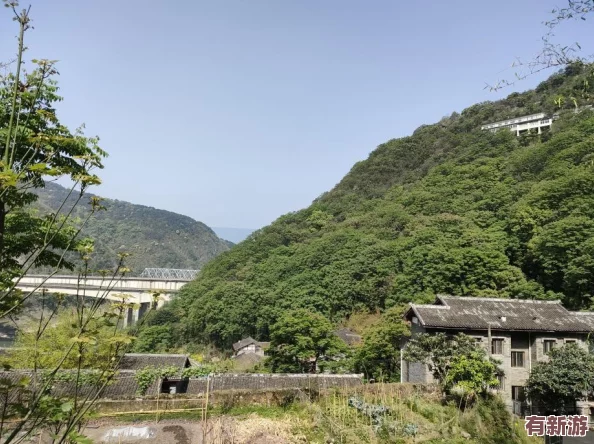三个创可贴遮住重要部位友热议