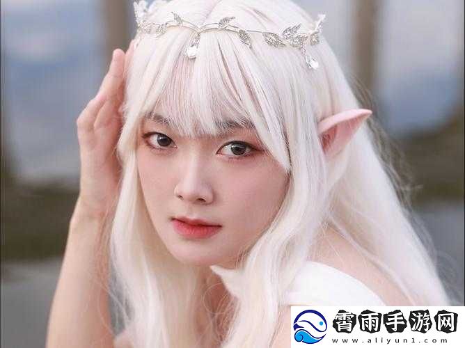 b-站入口-2024-永不关闭：永恒的精彩之地