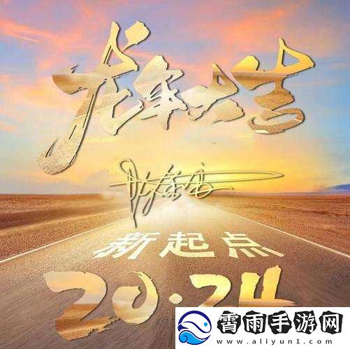 b-站推广站-2024：全新起航-精彩无限
