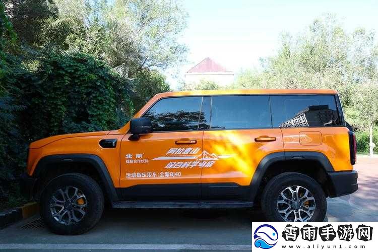 国产无人区码-SUV：探寻其脆弱与独特之处